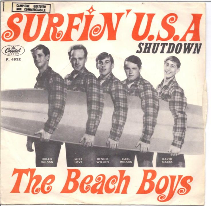 an advertisement for surf'n u s a showing the beach boys in flannel