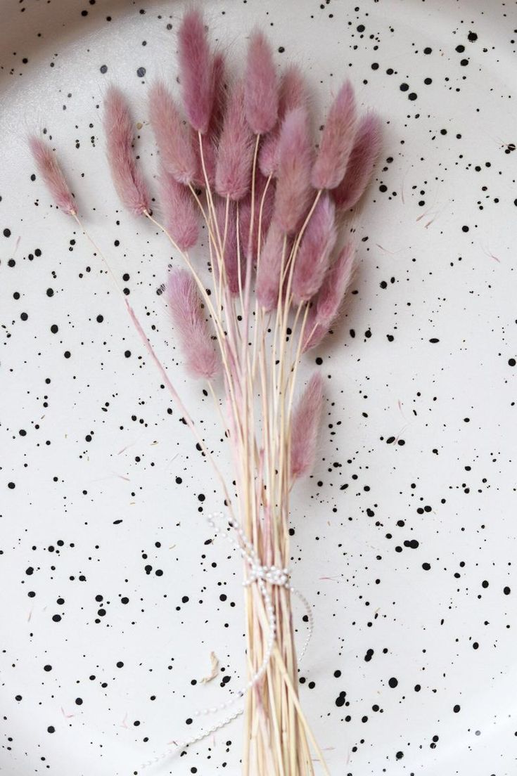 some pink flowers on a white plate with black dots in the backgroung