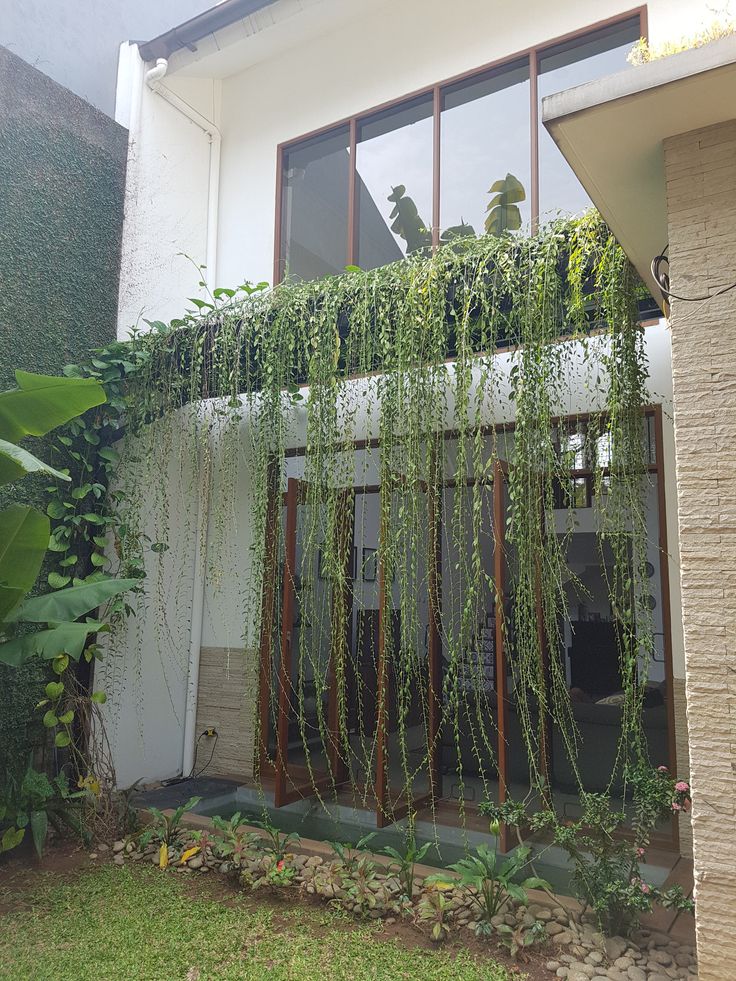 a house with vines growing on the side of it