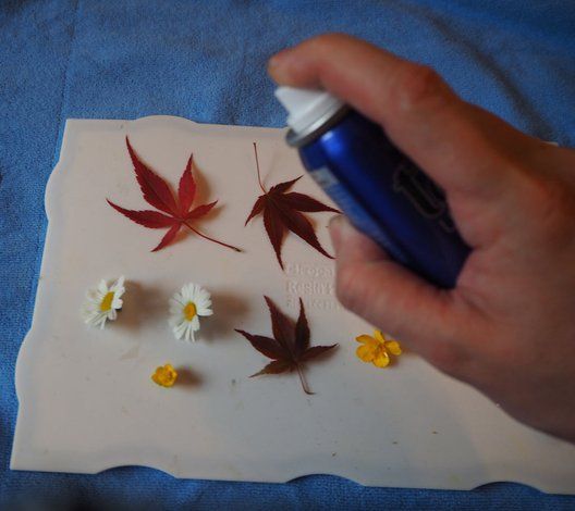 a person holding a spray bottle near some leaves and daisies on a piece of paper