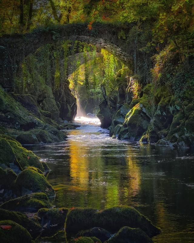 a river flowing under a bridge surrounded by lush green trees and moss growing on the rocks