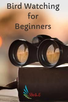 two binoculars sitting on top of a book with the title bird watching for beginners