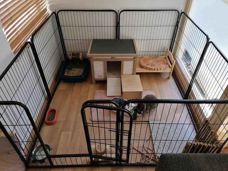 a caged in room with a desk and cat bed on the floor next to it