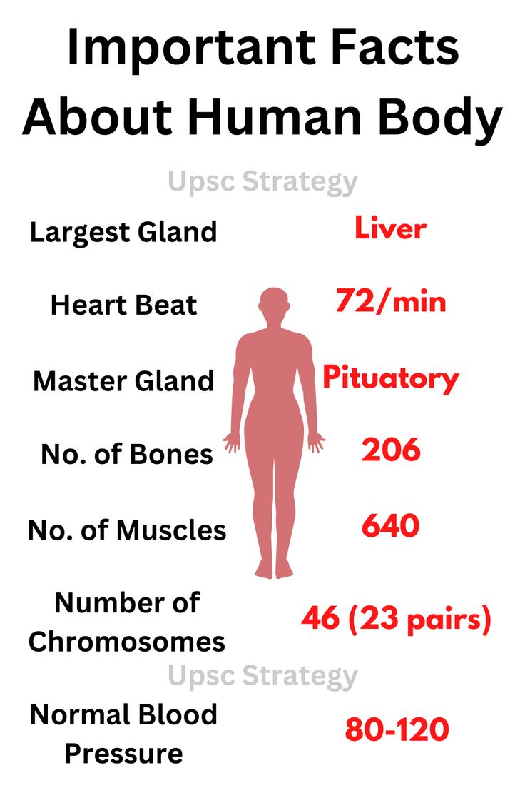 an info poster showing the different types of human body parts and their corresponding names in red