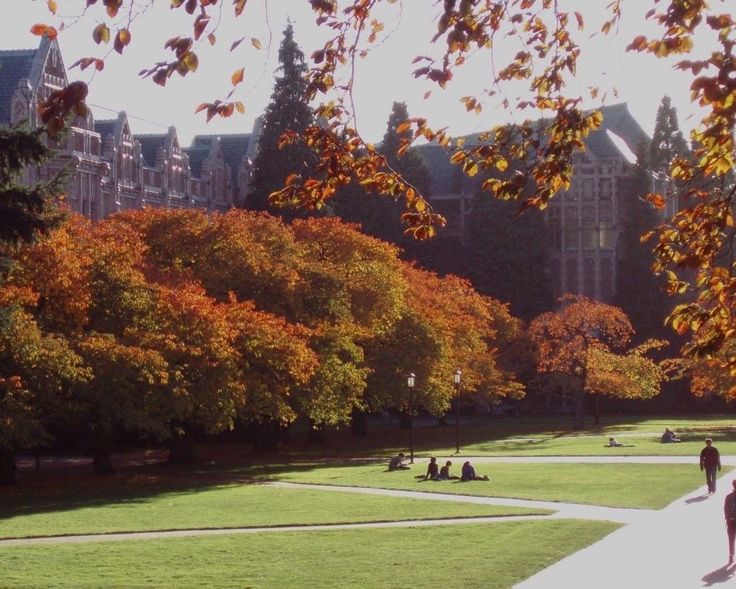 people are sitting and walking in the grass near trees with orange leaves on them,