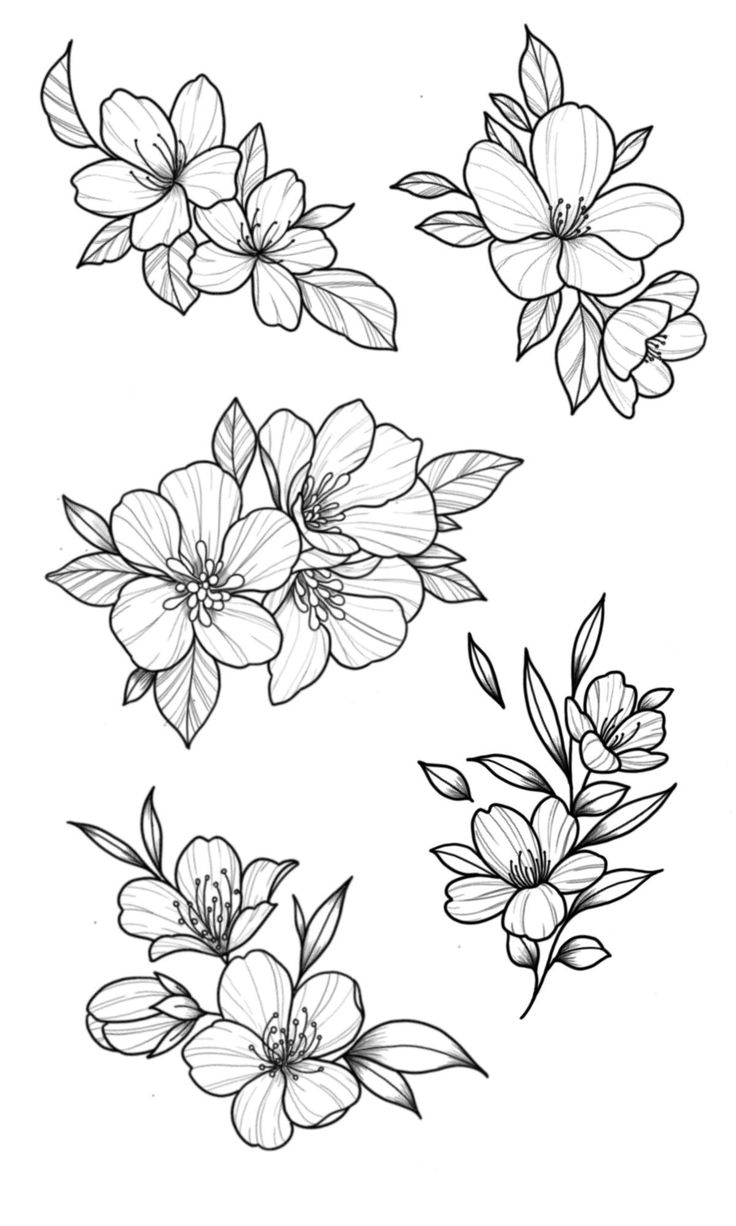 some flowers that are drawn in black and white