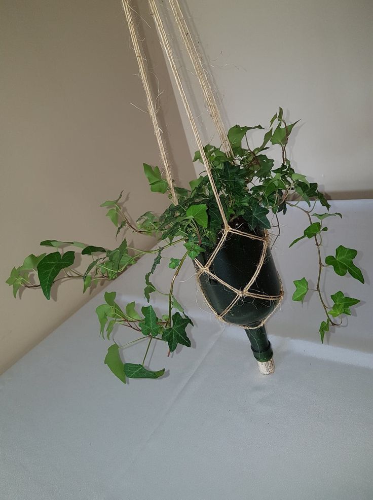 a potted plant hanging from a rope on top of a white table with green leaves