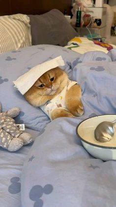 an orange cat laying on top of a bed next to a stuffed animal