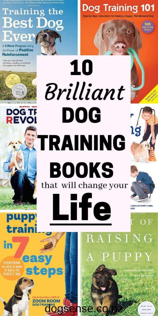 dog training books with the title 10 brilliant dog training books that will change your life