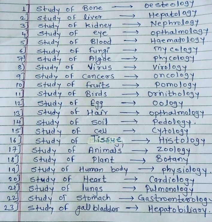 a piece of paper with writing on it that has words and numbers written in different languages