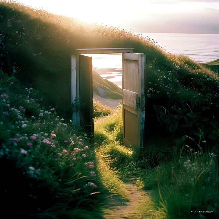 an open door leading to the ocean on a grassy hill with flowers and grass growing all around