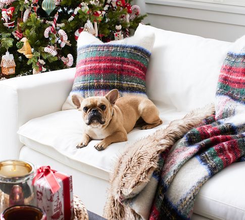 a small dog laying on a white couch in front of a christmas tree