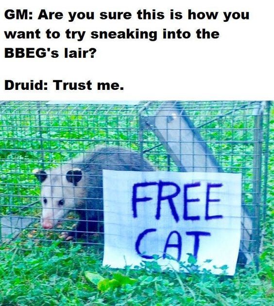 an animal in a cage with a sign that says, gif are you sure this is how you want to try sneaking into the bbeg's hair? druid trust me