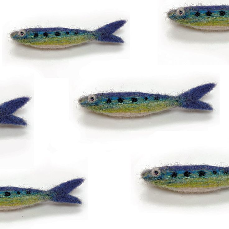 six small blue and green fish on white background