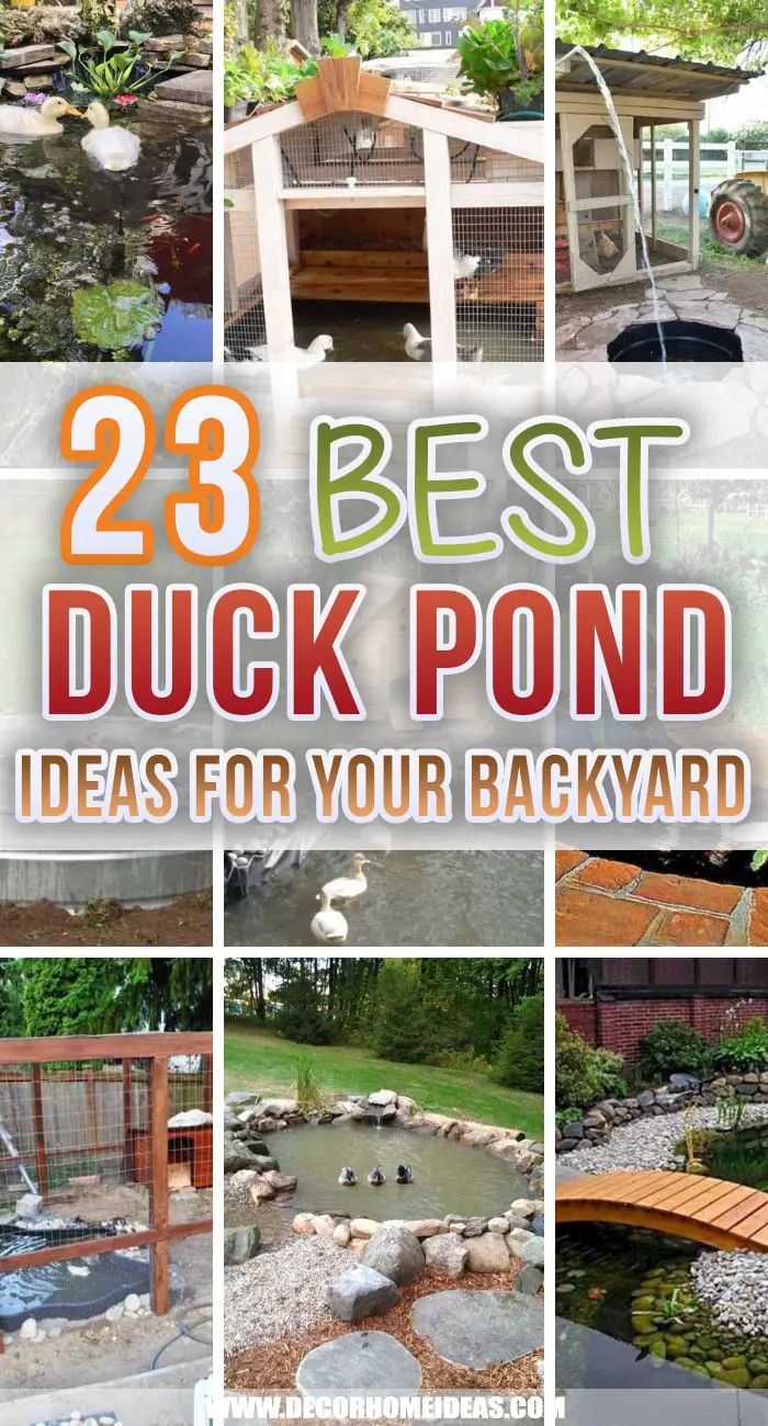 the 25 best duck pond ideas for your backyard is featured in this article, which includes pictures