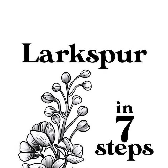 a black and white drawing of flowers with the words larkspur in 7 steps