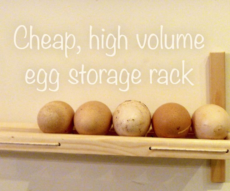 four eggs on a shelf with the words cheap, high volume egg storage rack above them