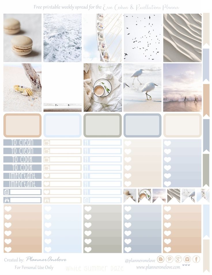 an image of a color scheme with birds and seagulls