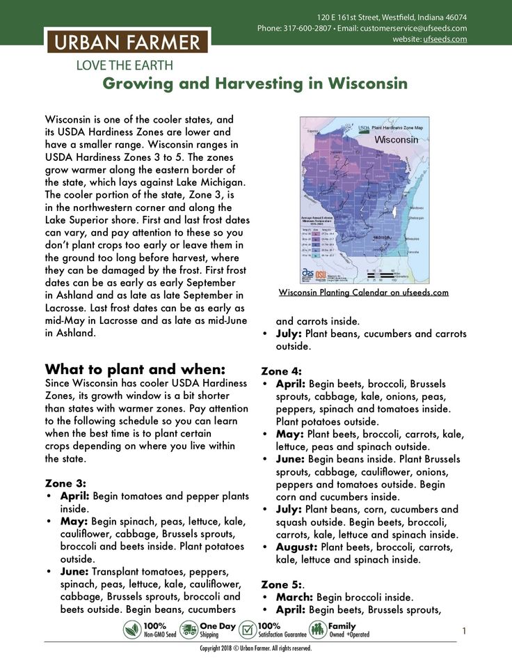 the brochure features information about growing and harvesting in wisconsin, including images of native plants