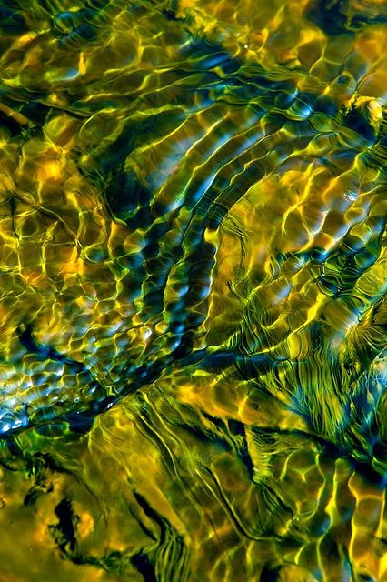 the water is very clear and green with some blue things on it's surface