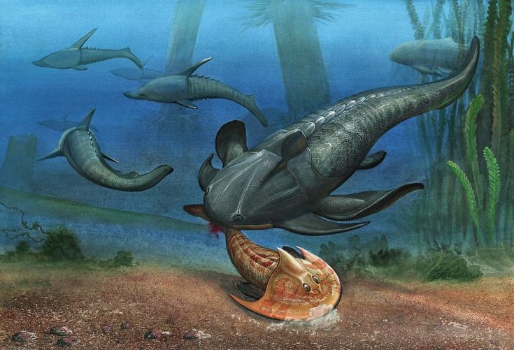 an artist's rendering of a giant sea turtle attacking a snail