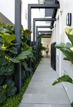 a long narrow walkway between two buildings with plants growing on the sides and an open door leading to another building