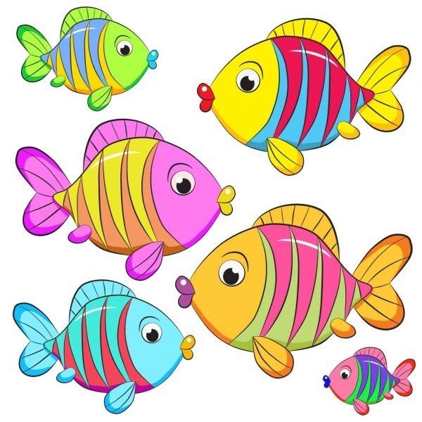 four colorful fish on a white background