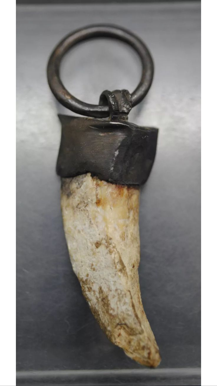 Anglo-Saxon silver and boar tusk pendant Boar Tusk, Tusk Pendant, Crafts Jewelry Making, Viking Pendant, Ancient Vikings, Semiprecious Stone Jewelry, Organizer Jewelry, Archaeological Finds, Medieval Jewelry