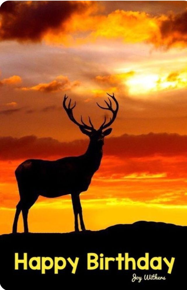 a deer standing on top of a hill at sunset