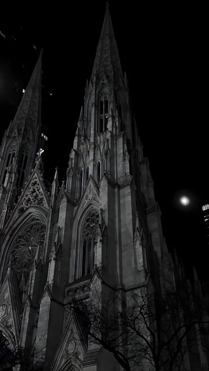 an old gothic cathedral lit up at night