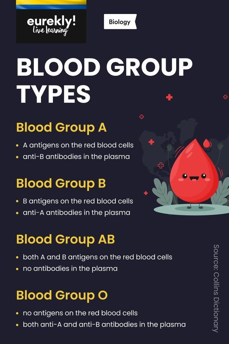 the blood group types are shown in this graphic style, and there is also an info sheet