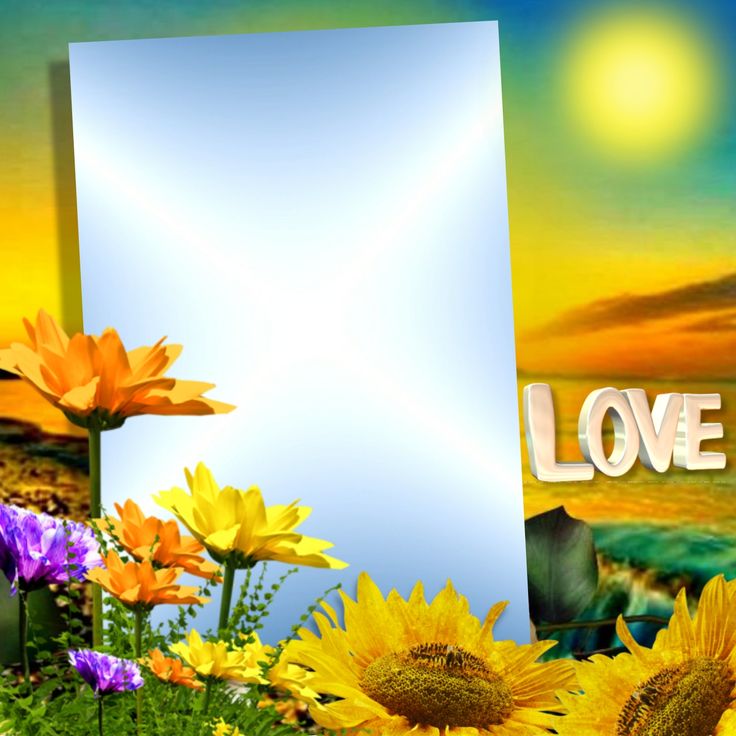 an image of sunflowers and flowers with the word love written in front of them