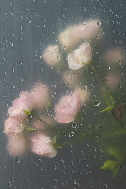 some pink roses are sitting in the rain