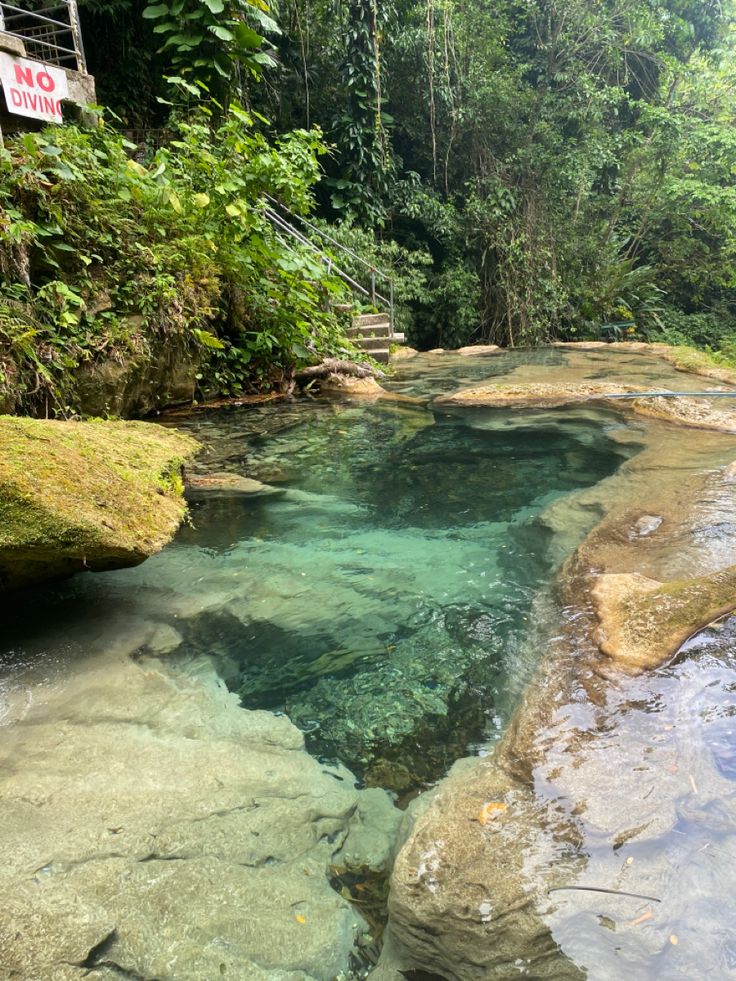 the water is crystal clear and blue in this stream, surrounded by green trees on either side