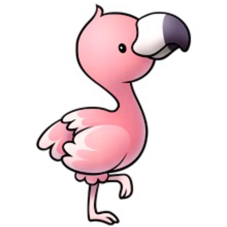 an image of a pink flamingo bird on the screen with text that reads pinterest com images may be subject to copyright