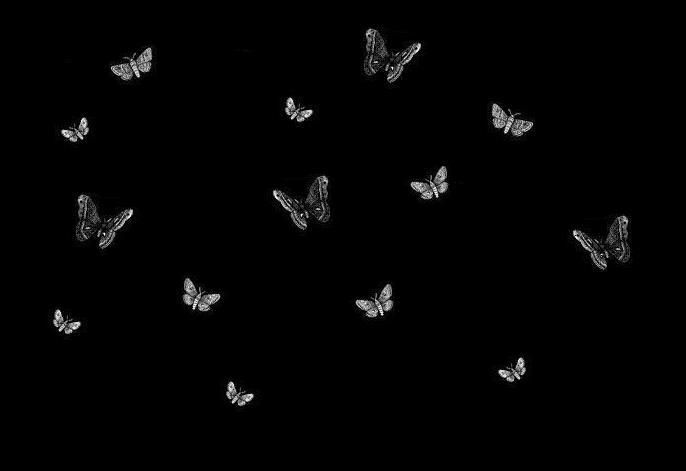 a group of butterflies flying in the dark