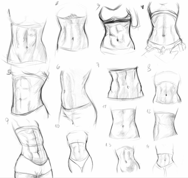 some sketches of different types of bras and waist shapes, including the top one with an