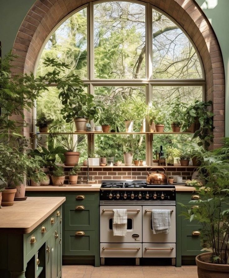 a kitchen with an arched window and lots of potted plants