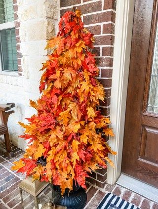 an orange and red tree sitting on top of a black vase next to a door