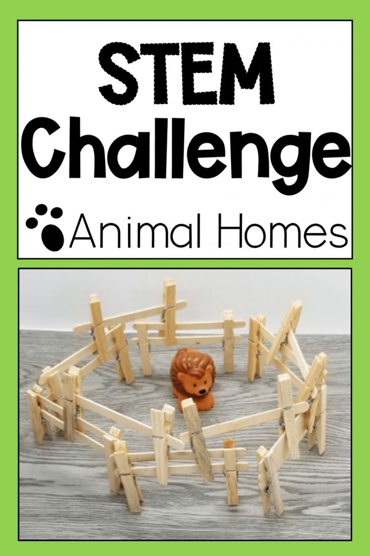 Animal STEM for Kids in Kindergarten and Primary - Building Challenges For Kids, Twos Activities, Challenges For Kids, Habitat Activities, Farm Week, Stem Activities Kindergarten, Animal Homes, Elementary Stem, Stem Building