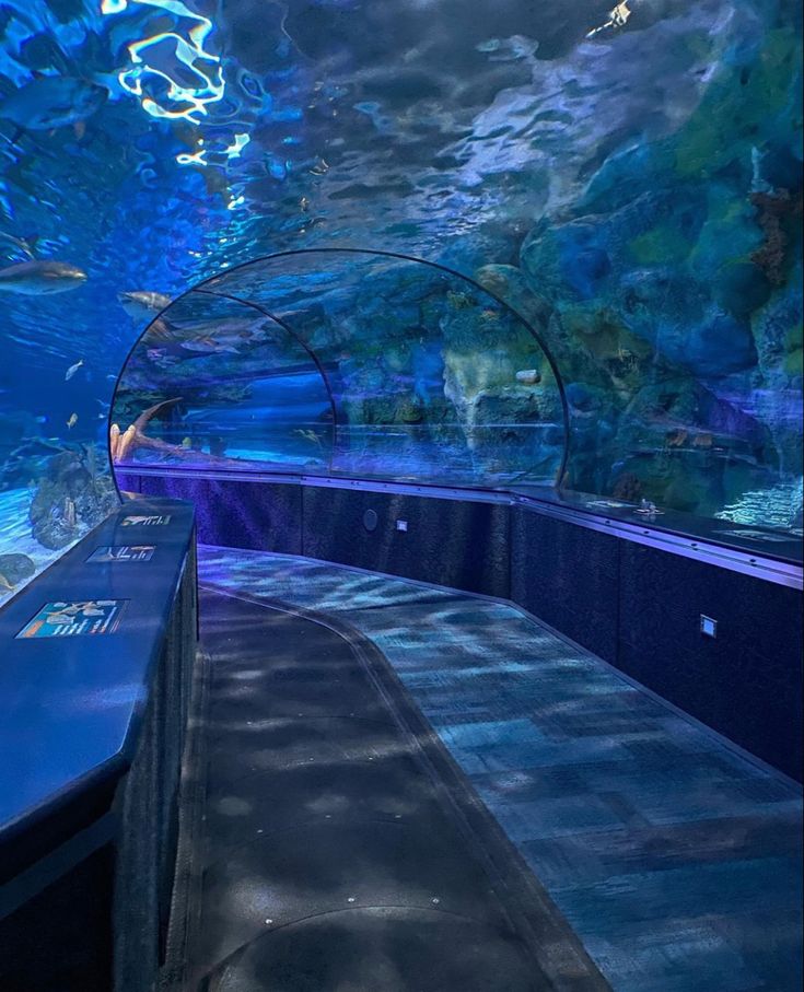 an aquarium filled with lots of blue water