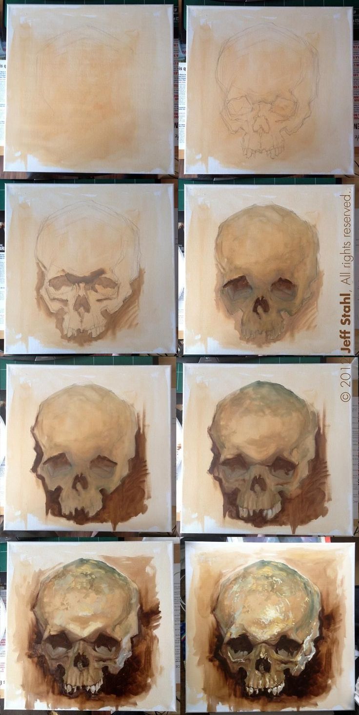 several pictures of different types of skulls on paper