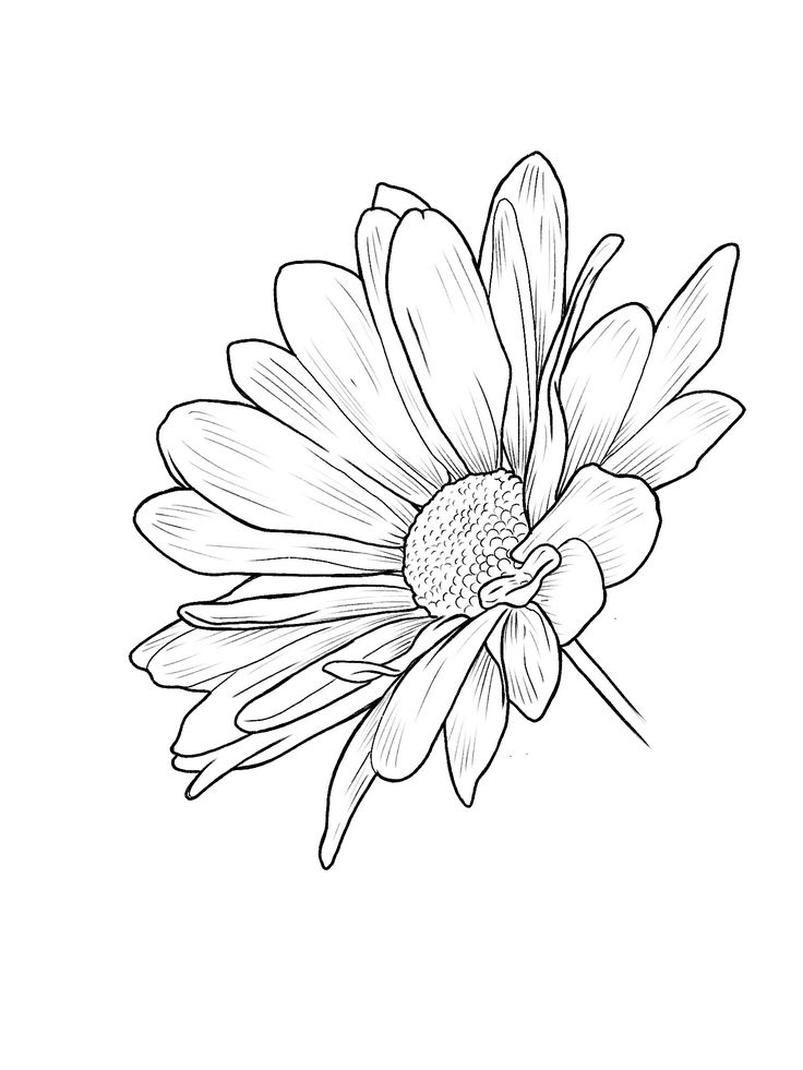 a black and white drawing of a flower