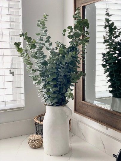 a potted plant sitting on top of a white counter next to a bathroom mirror