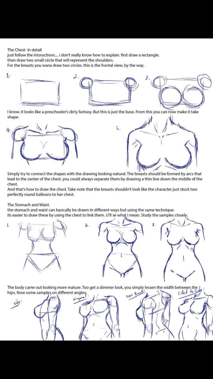 how to draw female torsos in the style of an animation character, with instructions for drawing