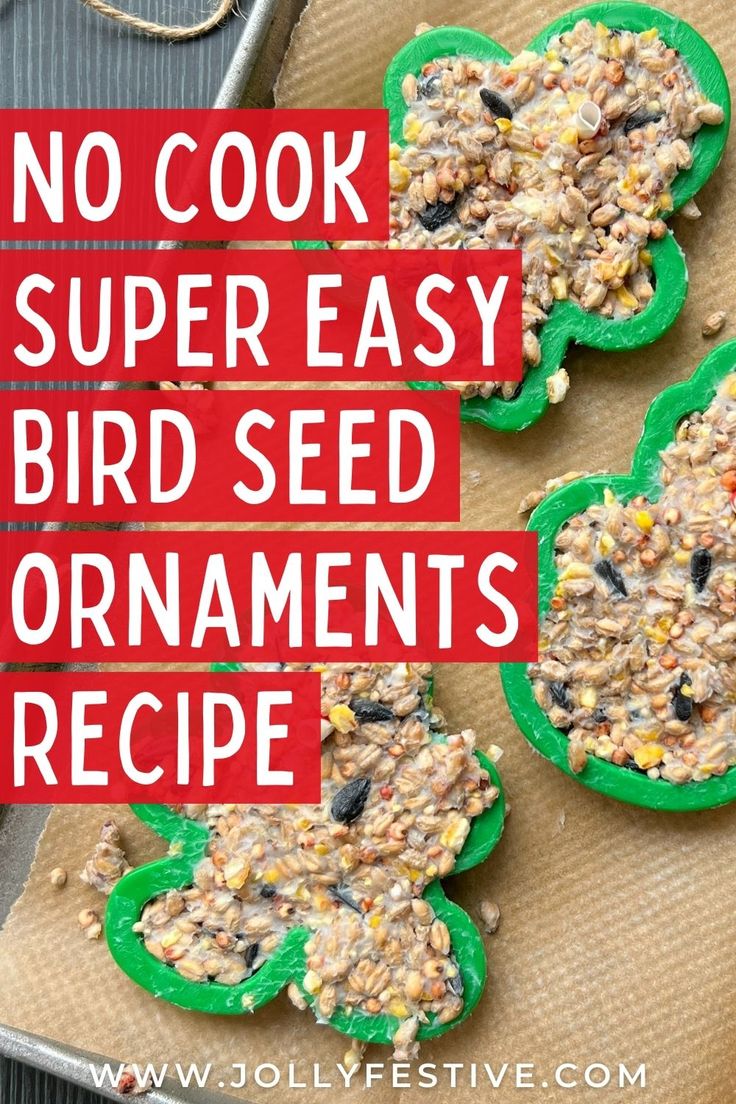 no cook super easy bird seed ornament recipe for st patrick's day