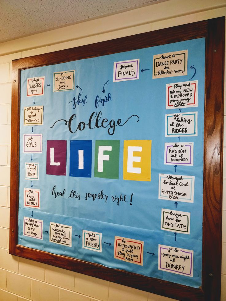 a bulletin board with writing on it in a school hallway or classroom room that says college life