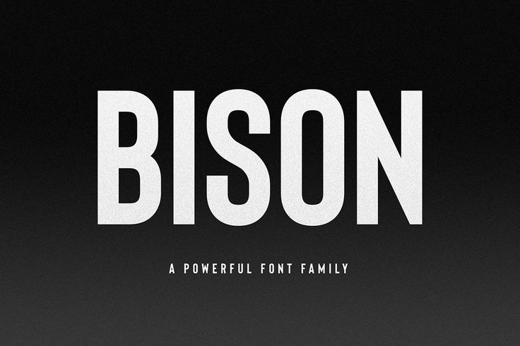 a black and white typeface with the word bison in it's upper right corner