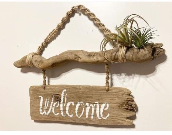 a wooden sign that says welcome hanging from a wall with air plants on it and the word welcome written in white paint