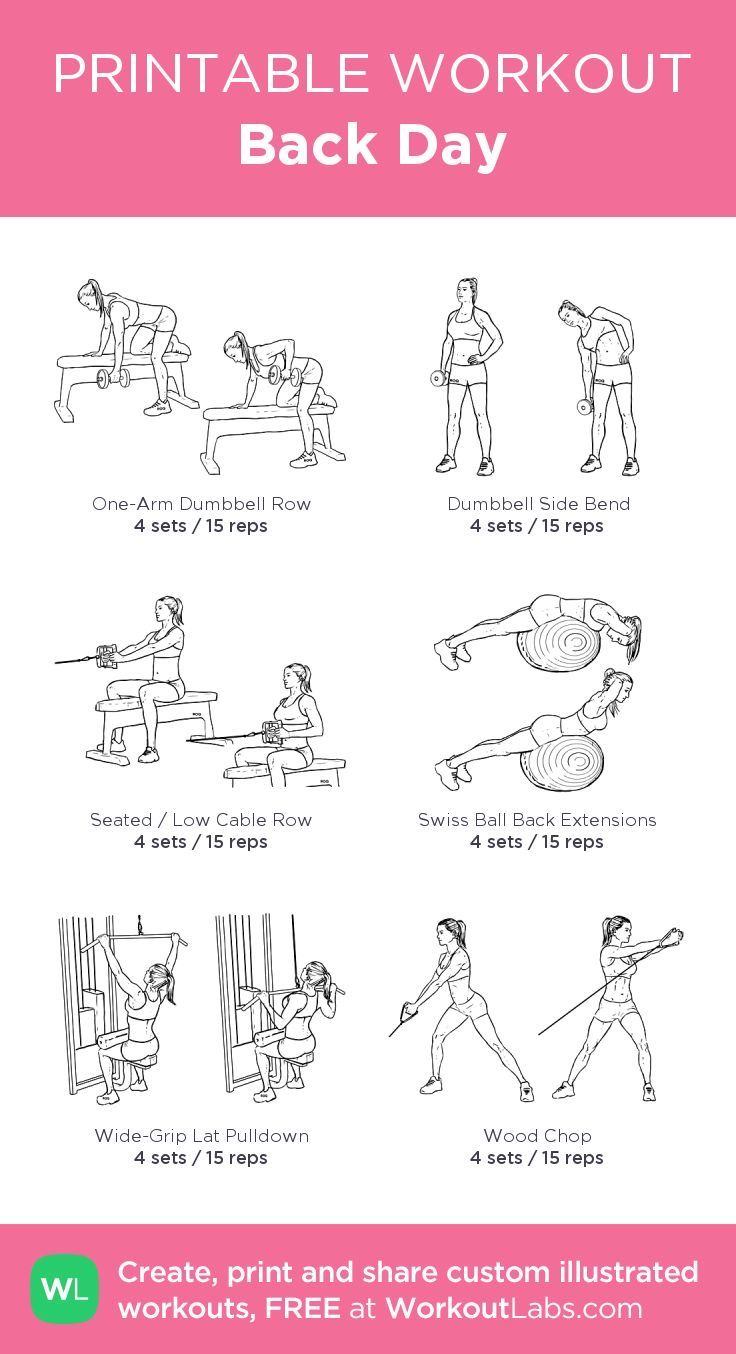 the printable workout poster for back day